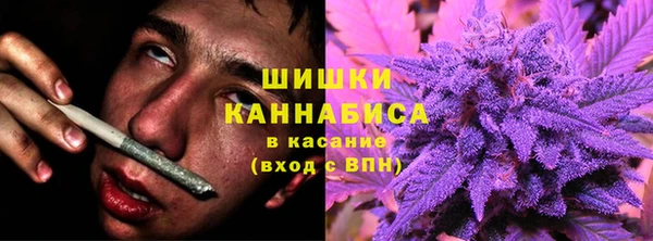 амф Бугульма